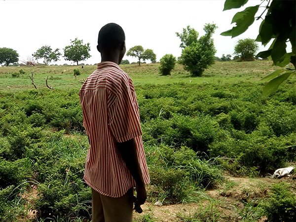 Sowing Pepper Seeds for the Gospel